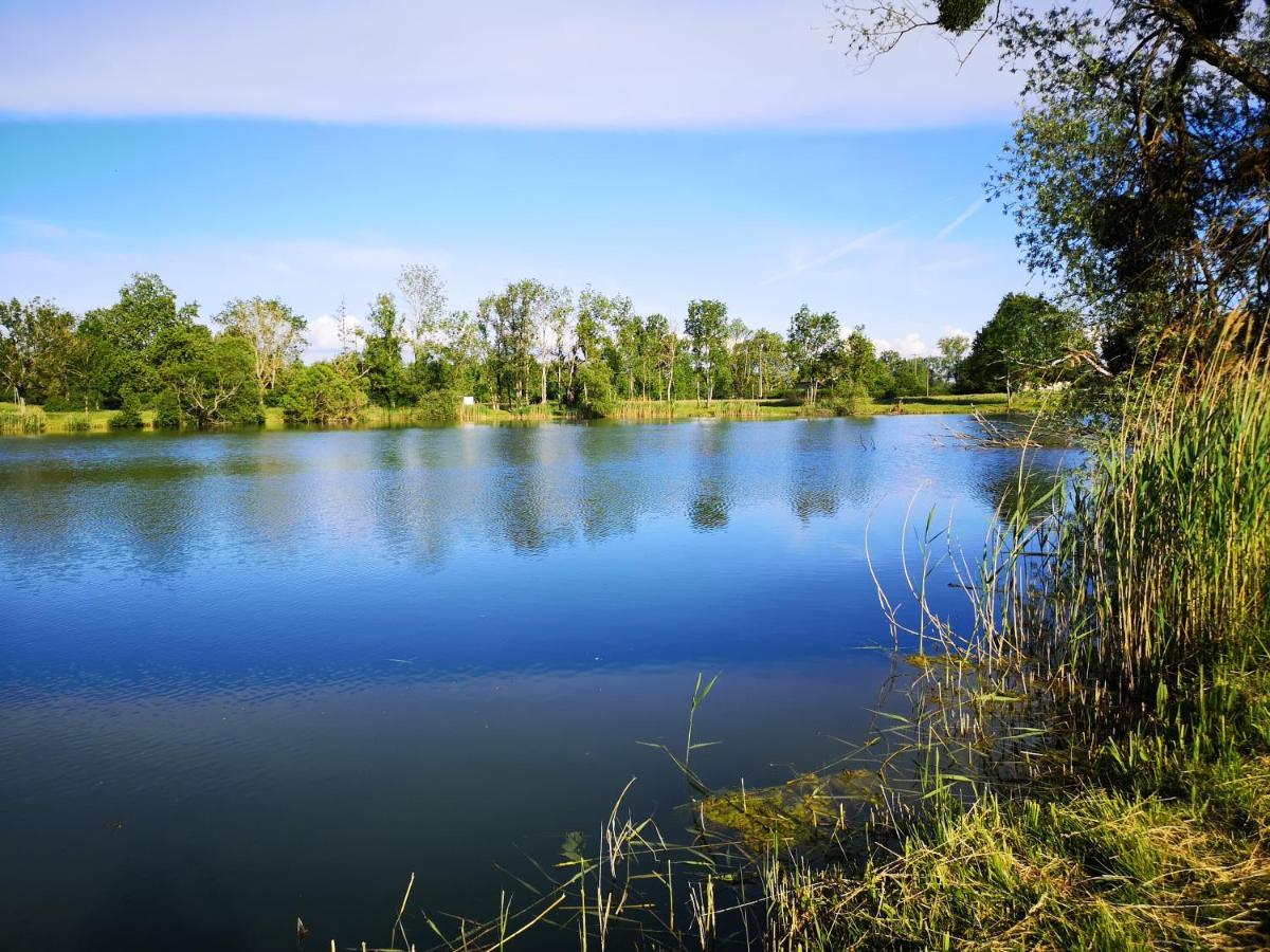 Gite A La Campagne - Etat Nature Magnieres Dış mekan fotoğraf